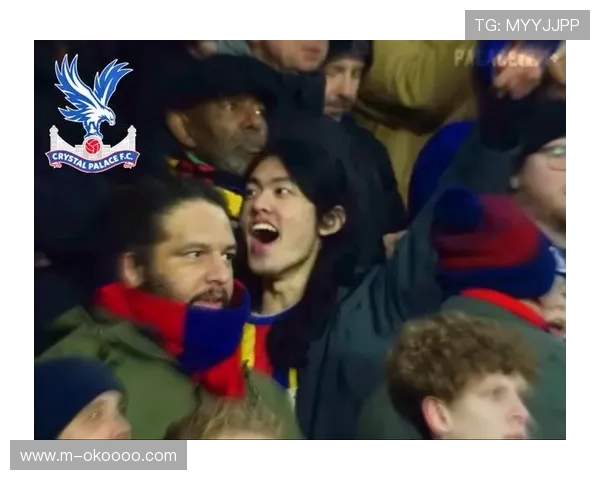 水晶宫因球迷不当横幅遭英足总调查，或面临处罚