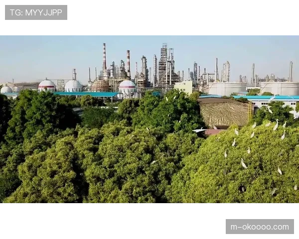 体育场馆绿色改造当前阶段聚焦光伏储能与海绵城市技术集成