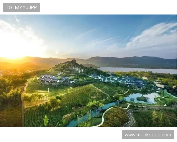 康养体育模块植入社区网络，拓展银发供给场景